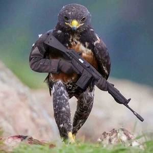 Meet your Posher, Dân